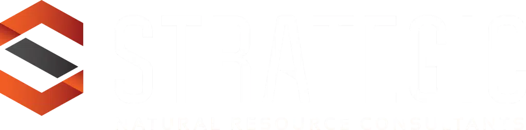 Strategic Logo